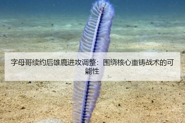 字母哥续约后雄鹿进攻调整：围绕核心重铸战术的可能性